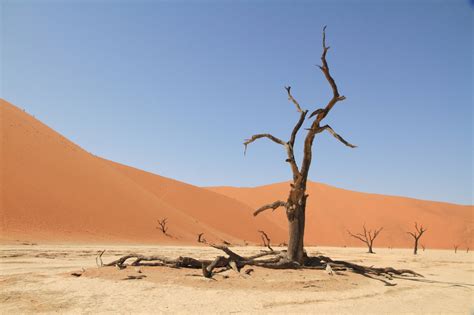 Fondos de pantalla paisaje naturaleza cielo Desierto África duna