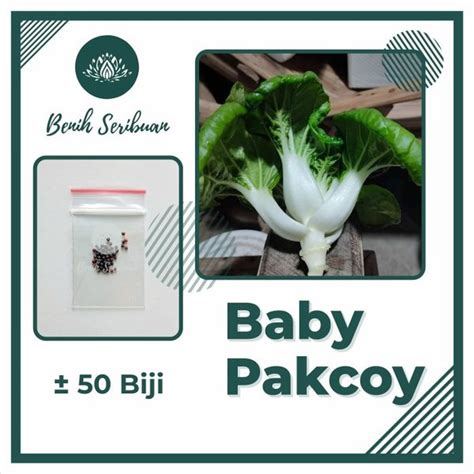 Jual A 50 Benih Sawi Baby Pakcoy F1 Hibrida Bibit Sayuran Unggul Nai