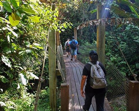 2023 Kinabalu Park And Poring Hot Spring And Canopy Walk