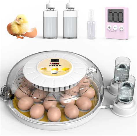 Amazon Detodda Eggs Incubators For Hatching Eggs With Automatic