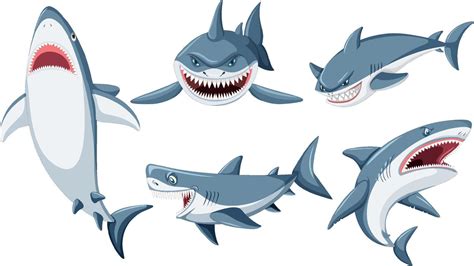 Set Of Shark Cartoon Character Vector Art At Vecteezy