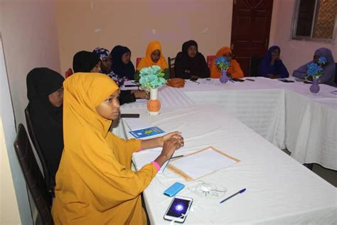 Somwa Helds One Day Election Reporting Workshop In Baidoa Somali