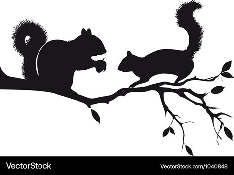 Squirrels On Tree Branch Royalty Free Vector Image