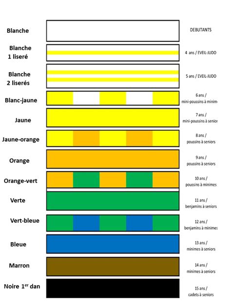 Les Ceintures En Judo Marcq Judo