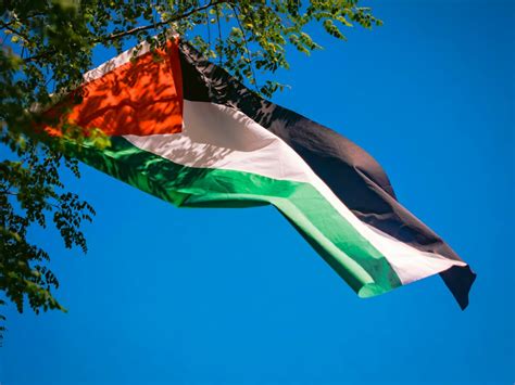 Quels Sont Les Pays Qui Reconnaissent L Tat De Palestine