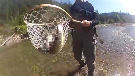 Bull Trout Highwood River Alberta Youtube