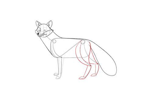 How To Draw A Fox Step By Step Domestika