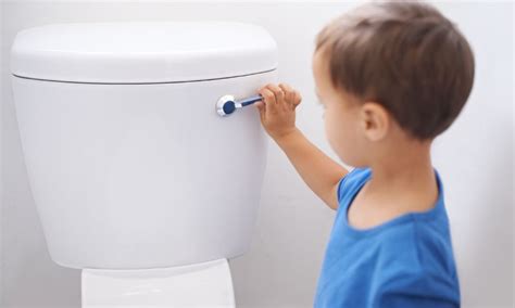 Simple Steps On How To Manually Flush A Toilet Homeimprovise