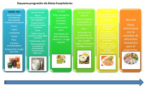 Dietoterapia Tipos De Dietas BitÁcora De Una Estudiante De NutriciÓn