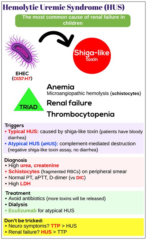 Hemolytic Uremic Syndrome Hus Medicine Keys For Mrcps