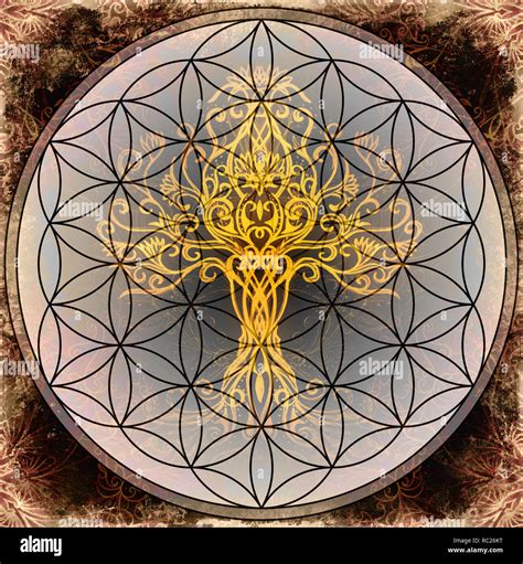 Tree Of Life Symbol On Structured Ornamental Background Flower Of Life