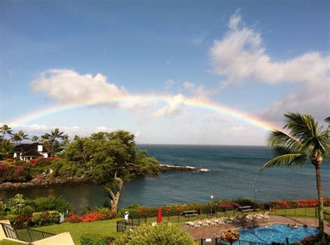Napili Point Resort Maui 2013 Places To Visit Maui Resort