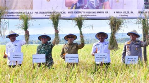 Pemprov Sulsel Target Cetak Sawah Baru 2 Ribu Hektar Di 2024 Tribun