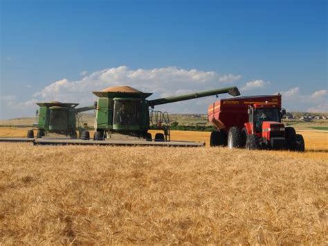 Nation’s Best Wheat Yield Tops 200 Bushels Per Acre Successful Farming