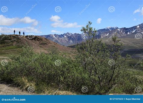 Hiking Trails in Denali National Park Stock Image - Image of skies, clear: 57107323