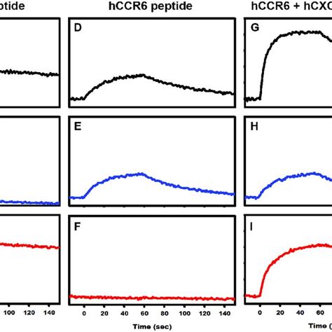 Surface Plasmon Resonance Analysis Spr Experiment Showing Binding Of Download Scientific