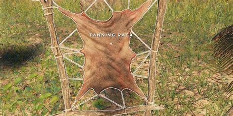 Stranded Deep How To Use The Tanning Rack