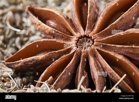 Star Anise Illicium Verum And Anise Seed Also Known As Aniseed