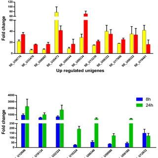 Validation Of Microarray Data By Qrt Pcr The Fold Change Values