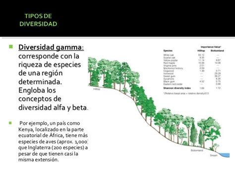 Diversidad Alfa Beta Y Gamma