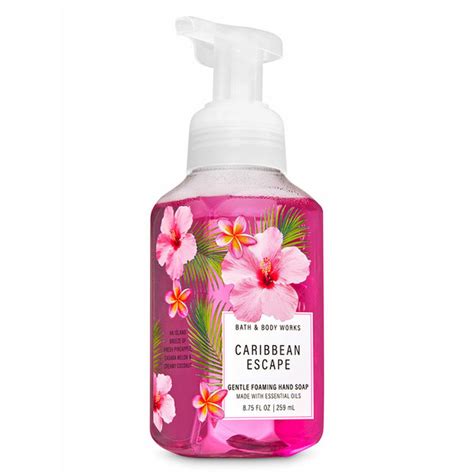 Bath And Body Works Caribbean Escape Gentle Foaming Hand Soap 8 75 Fl Oz