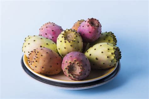 Prickly Peartuna Plant