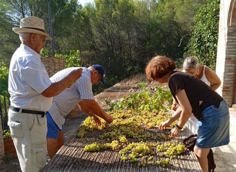 R Tova Celebra Per Tercer Any Consecutiu La Festa De Lescald