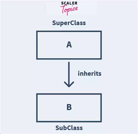 Inheritance In Java Scaler Topics