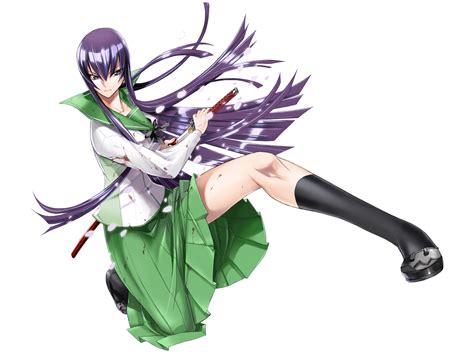 Hd Wallpaper Of Saeko Busujima From Highschool Of The Dead