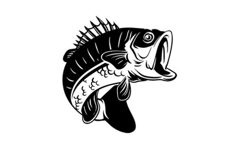 Bass Fish Vintage Silhouette Vector Graphic by GRAPPIX studio ...