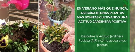 En Verano Más Que Nunca Asegúrate Unas Plantas Más Bonitas Cultivando Una Actitud Jardinera