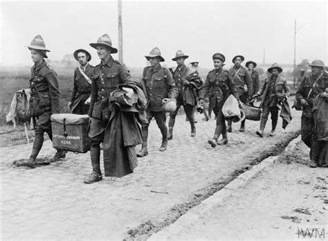 The New Zealand Expeditionary Force On The Western Front 1916 1918 Q 653