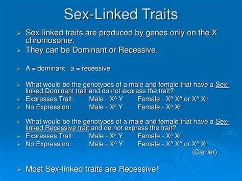 Ppt Human Genetics Powerpoint Presentation Free Download Id226677