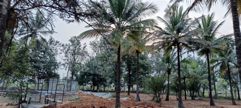 Agricultural Land 6000 Sq Ft For Sale In Kolar Road Bangalore