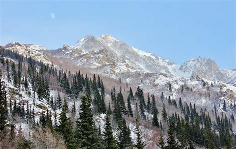 Winter Mountain View Photograph by David Broome - Fine Art America