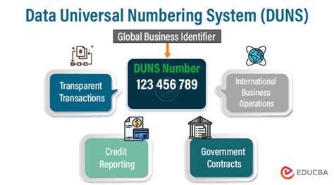 Data Universal Numbering System DUNS Number