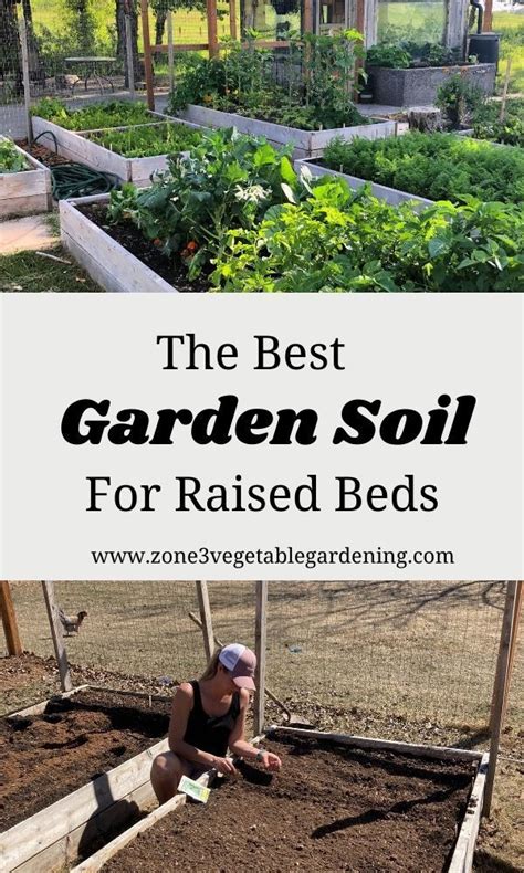 What Is The Best Soil For A Raised Vegetable Garden Garden Soil Mix