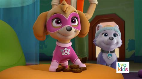 Skye Gallery Pups Save A Satellite Paw Patrol Wiki Fandom Powered By Wikia