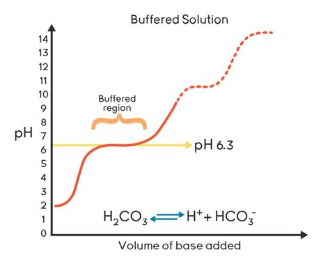 Titration Curve Buffer Region