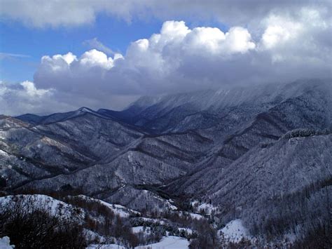 Parco Nazionale Delle Foreste Casentinesi Monte Falterona Campigna