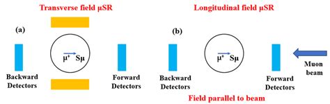 12: Schematic diagram of (a) transverse field muon spin rotation, where... | Download Scientific ...