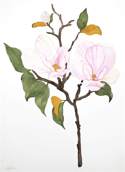 Magnificent Magnolias Art Lovers Australia