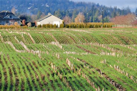 Year Round Farm Production Stock Image Image Of Open 135659171