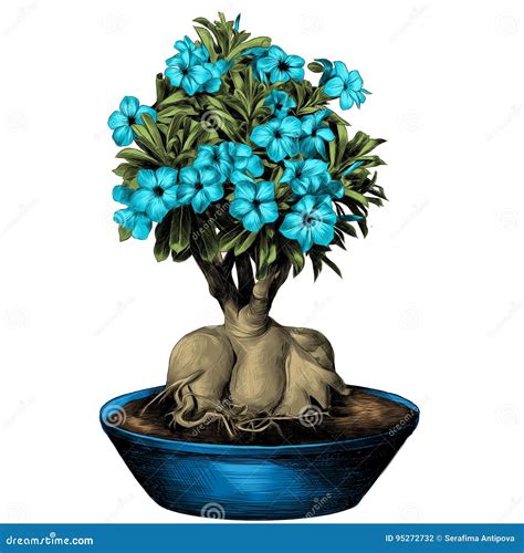 Adenium Rose Of The Desert Ink Drawing Royalty Free Cartoon