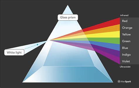 Color Psychology Color Theory Behavioral Design Academy