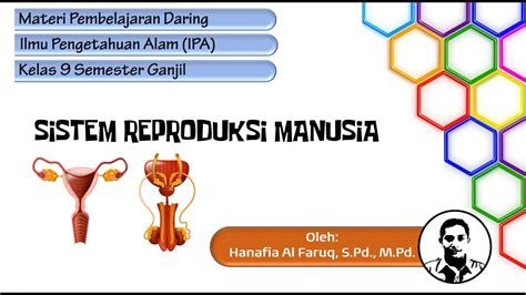 Materi Daring Sistem Reproduksi Manusia Youtube