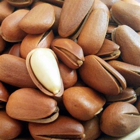 Factory Direct Selling Natural Opened Afghan Pine Nuts For Importchina