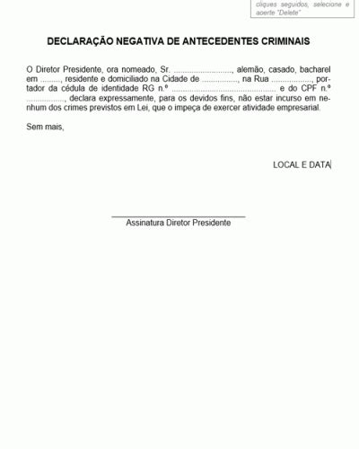 Modelo De Declara O Atividade Empresarial