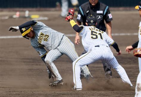 【阪神紅白戦】佐藤輝が先頭打者弾！梅野隆太郎捕手が初出場でバズーカ！／詳細 プロ野球ライブ速報 日刊スポーツ