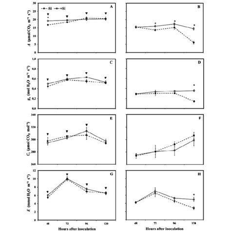 A And B Net Co Assimilation Rate A C And D Stomatal Conductance